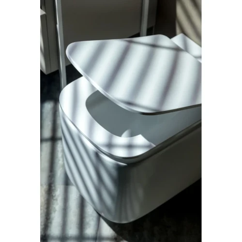 Купить купить унитаз подвесной с сиденьем микролифт, boheme mane, белый арт. 970-set-mw