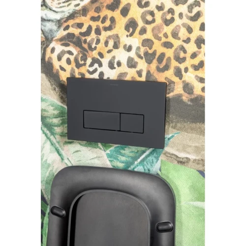 Купить купить клавиша смыва, boheme, черный арт. 669-b