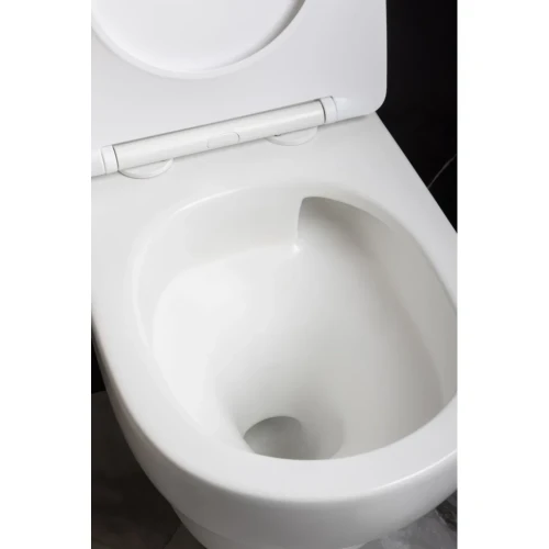 Купить купить унитаз биде подвесной с сиденьем микролифт, boheme fiore, белый арт. 978-set-2-w