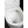 Купить купить унитаз биде подвесной с сиденьем микролифт, boheme fiore, белый арт. 978-set-2-mw